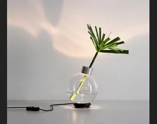 Lampada Bulbovaso da tavolo di Vesoi