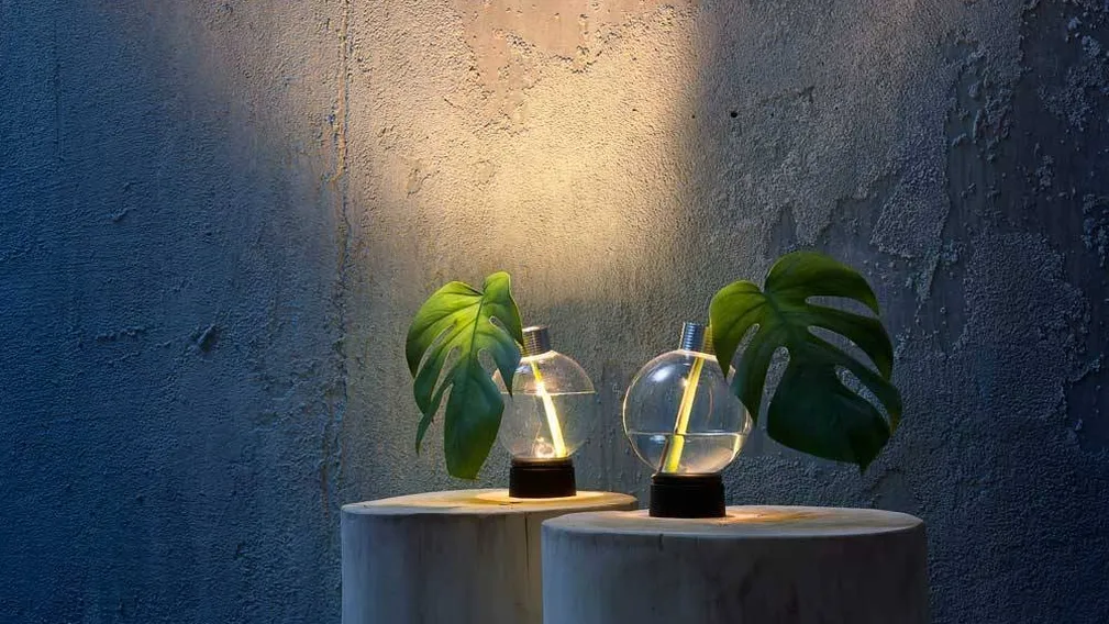 Lampada Bulbovaso da tavolo di Vesoi