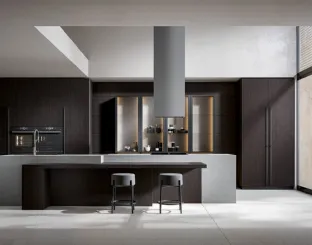 Cucina Moderna Infinity in essenza Carbon con isola di Home Cucine